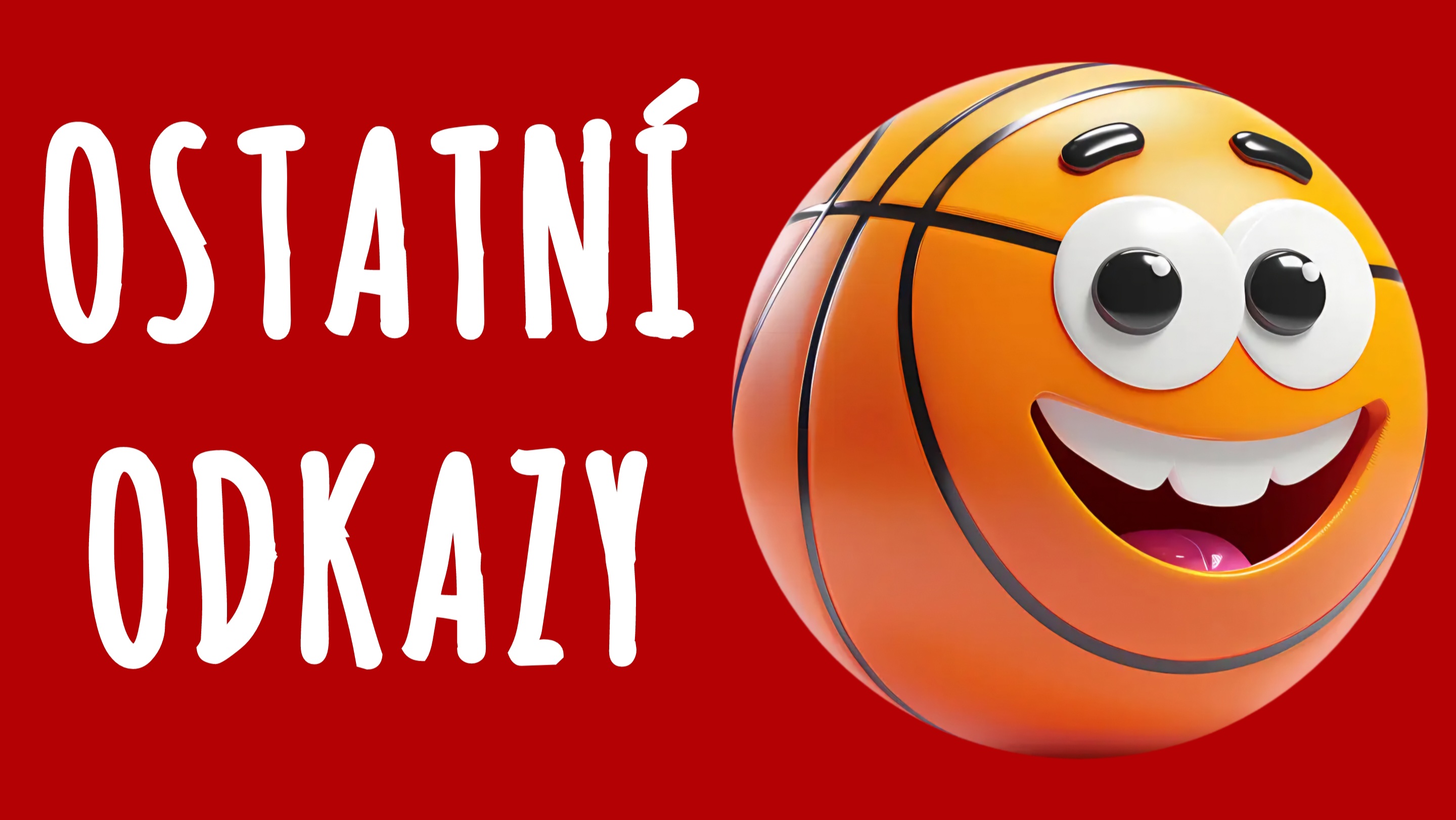 Baskettyn.cz